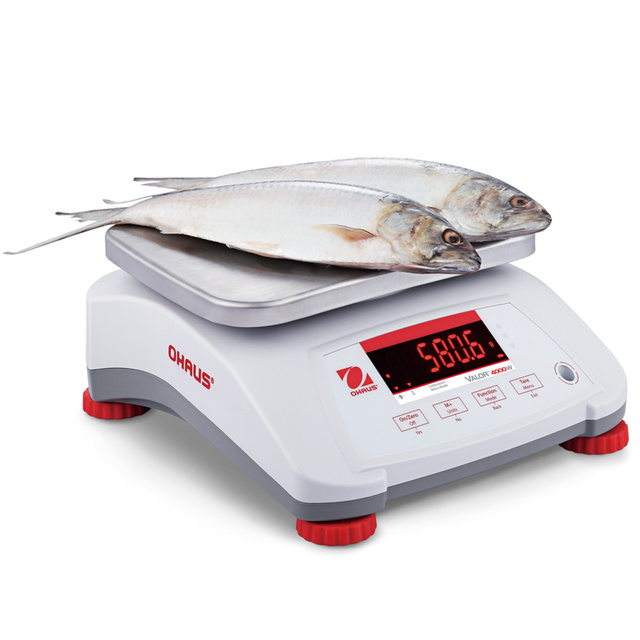 Waga VALOR 4000 z legalizacją kuchenna gastronomiczna wodoodporna IP68 LED 3Kg / 1g - OHAUS V41PWE3T-M